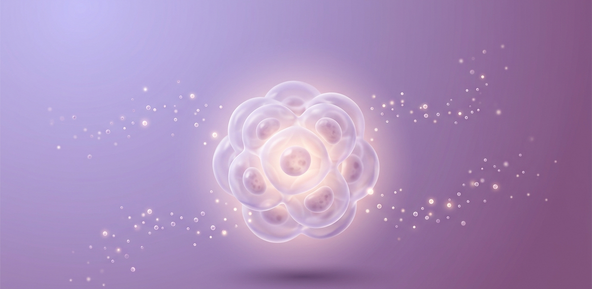 How Human Platelet Lysate (HPL) Enhances Stem Cell Growth and Therapy