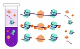 Cell-Free DNA (cfDNA): Biology, Analysis, Isolation and Quality Control