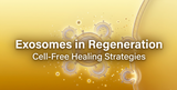Exosomes and Secretome in Tissue Regeneration: Cell-Free Therapeutic Strategies