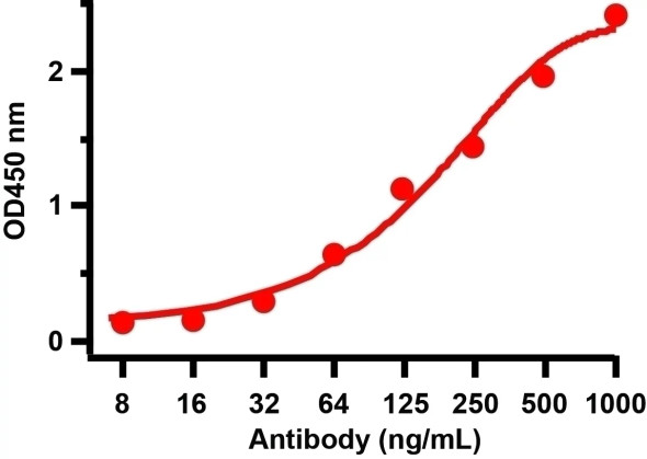 SARS-CoV-2 (COVID-19) Spike RBD Antibody