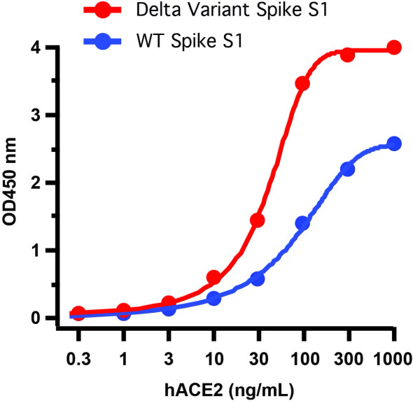 SARS-CoV-2 (COVID-19) Delta Variant Spike S1 (His-Avi Tag) Recombinant Protein