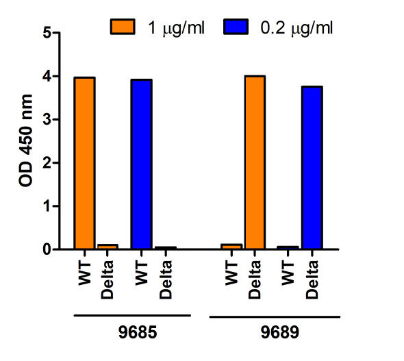 SARS-CoV-2 (COVID-19) Delta Variant Spike S1 (His-Avi Tag) Recombinant Protein