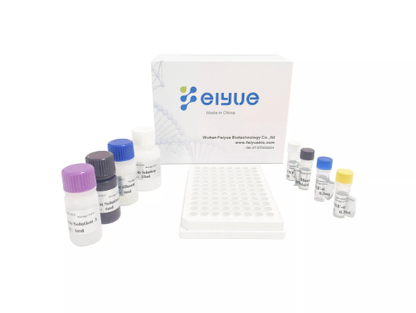 Mouse IL-1β(Interleukin 1 Beta) ELISA Kit