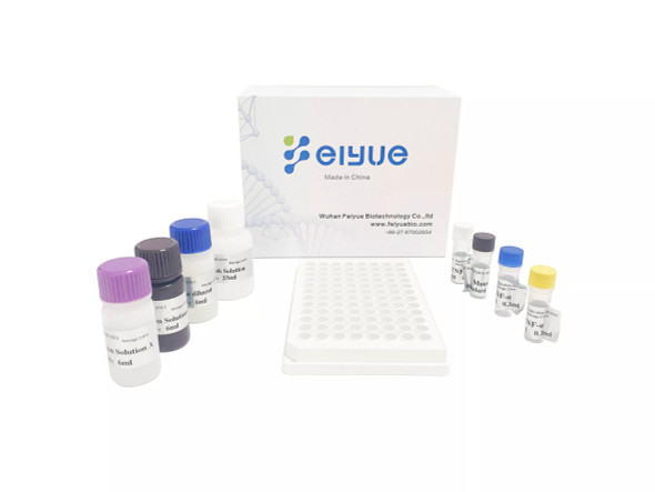 Human S100B(Protein S100-B) ELISA Kit