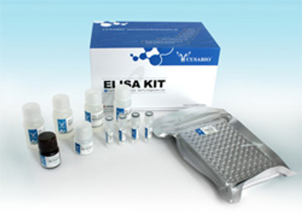 Mouse Macrophage Inflammatory Protein 3α, MIP-3α ELISA kit | CSB-E04668m