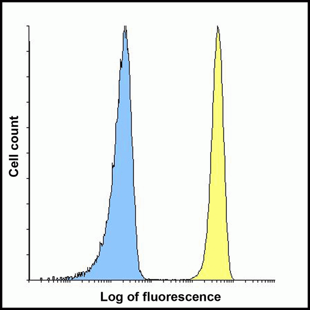 B7H3 Antibody [4H3]