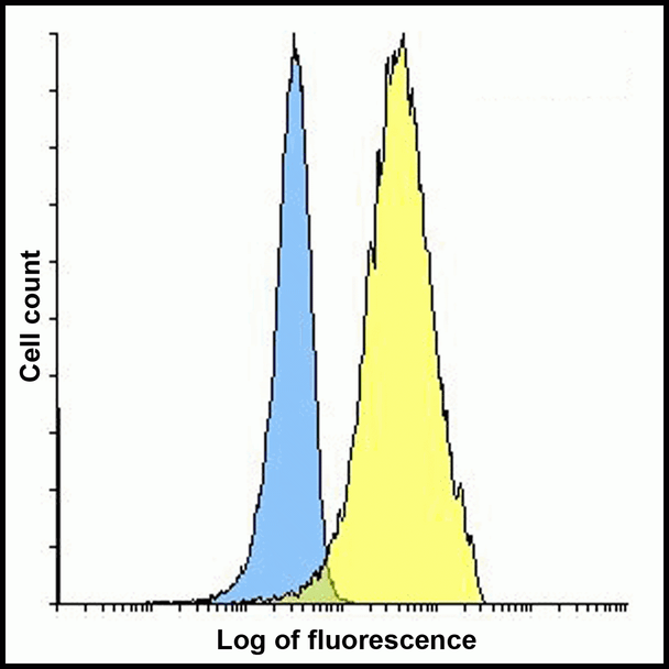 PDL2 Antibody [8C12]