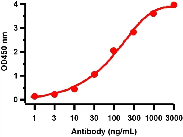 SARS-CoV-2 (COVID-19) NSP2 Antibody