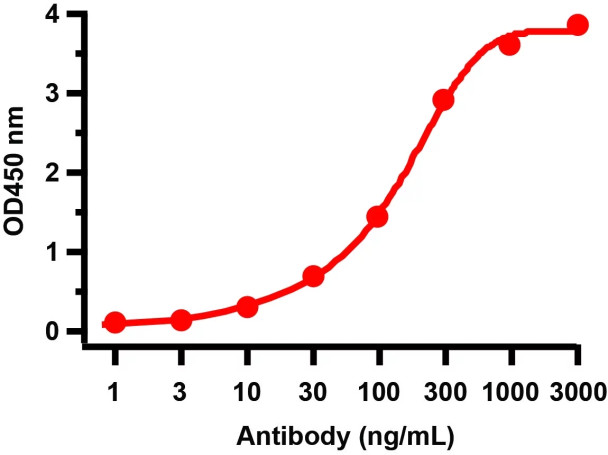 SARS-CoV-2 (COVID-19) NSP13 (Helicase) Antibody | 9183