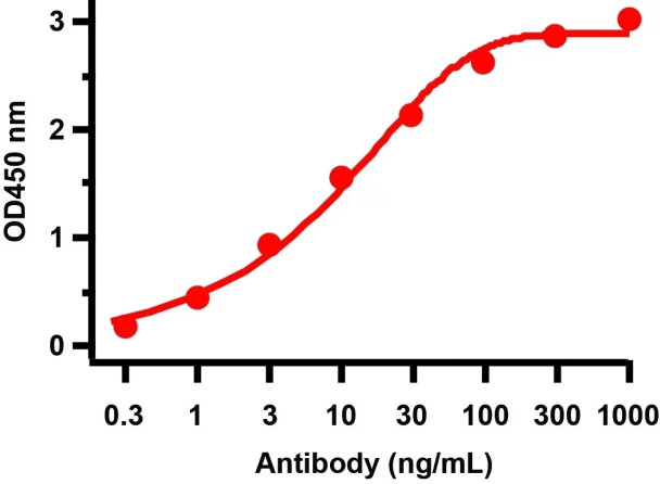 SARS-CoV-2 (COVID-19) ORF7a Antibody |9285