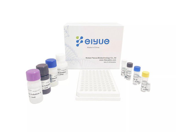 FY-EH4508 Human GC(Glucagon) ELISA Kit