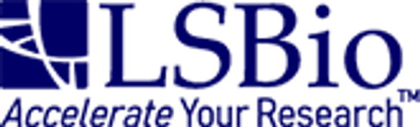 RRAGB / RAGB Protein (Over-Expression Lysate Myc + DD