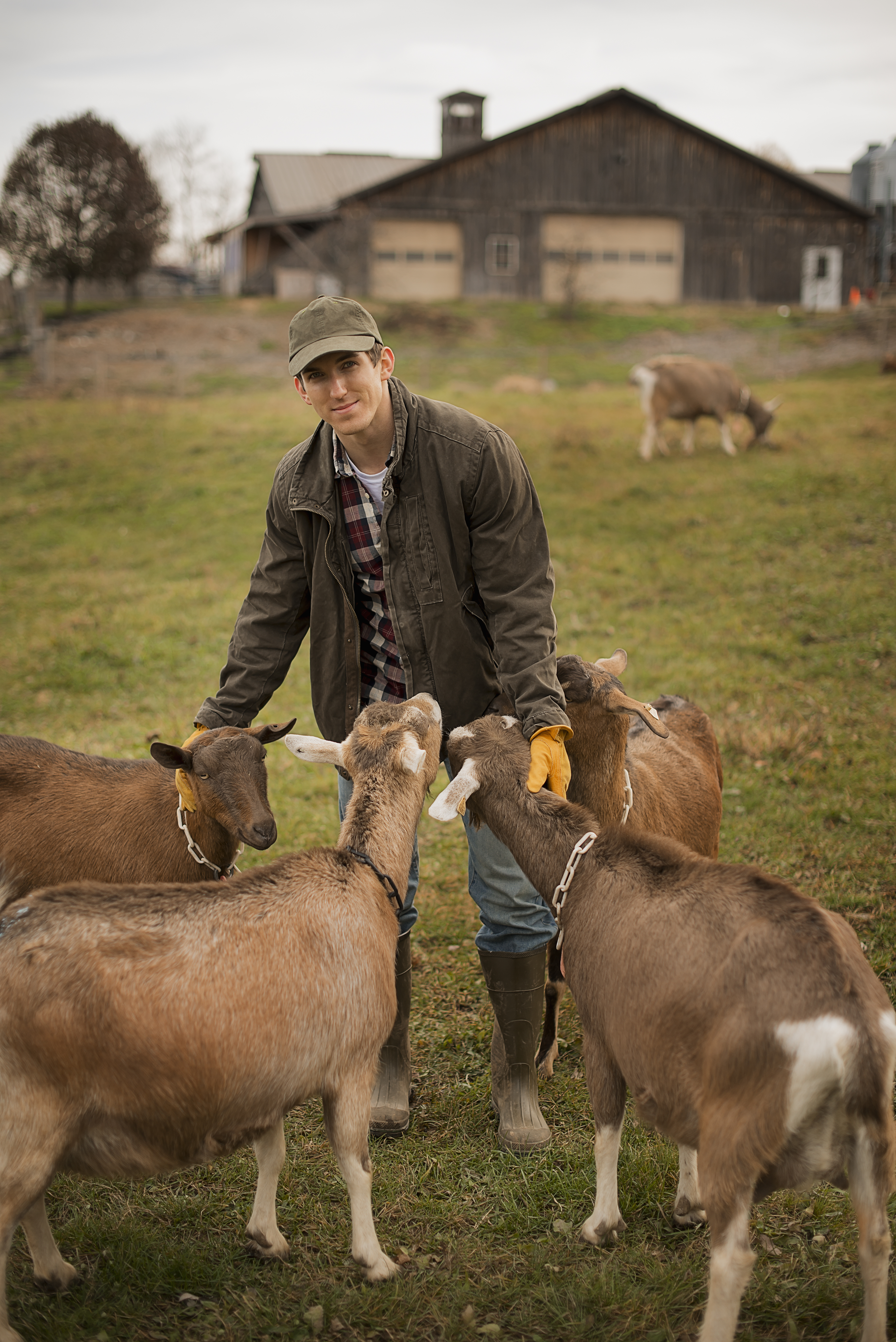 farmer-working-and-tending-to-the-animals-on-a-dai-2021-08-29-03-56-08-utc.jpg