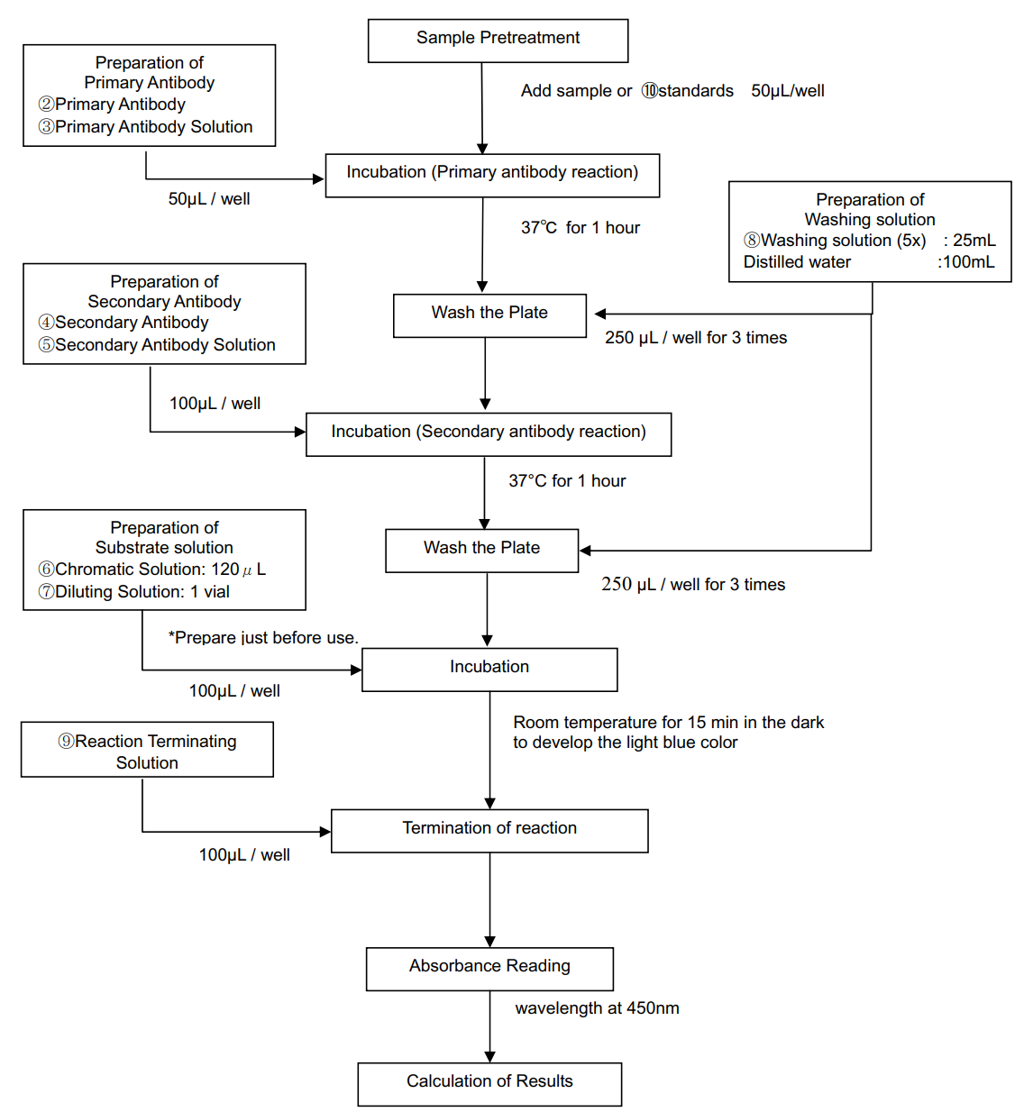 assay procedure