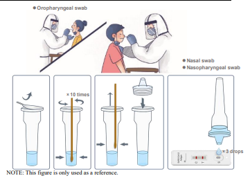 rapid-test-kit.png