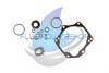NEW VICKERS PVE19 - PVE21- PVQ40 - PVQ45 BUNA SEAL KIT / 923989