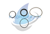 NEW REPLACEMENT FOR HANNA 706-00046-253 SEAL KIT
