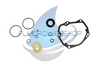 NEW REPLACEMENT FOR VICKERS PVE12 / PVQ25 BUNA SEAL KIT / 882955