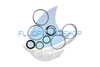 NEW REPLACEMENT CHAR-LYNN 2000 SERIES SEAL KIT / 61289-000