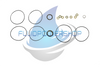NEW AFTERMARKET DANFOSS 151-1286 SEAL KIT