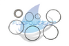 NEW AFTERMARKET CHAR-LYNN 4000 SERIES STD & WHEEL SEAL KIT / 61281-AFT