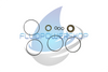 NEW REPLACEMENT FOR DANFOSS OMM SERIES SEAL KIT / 151G0202