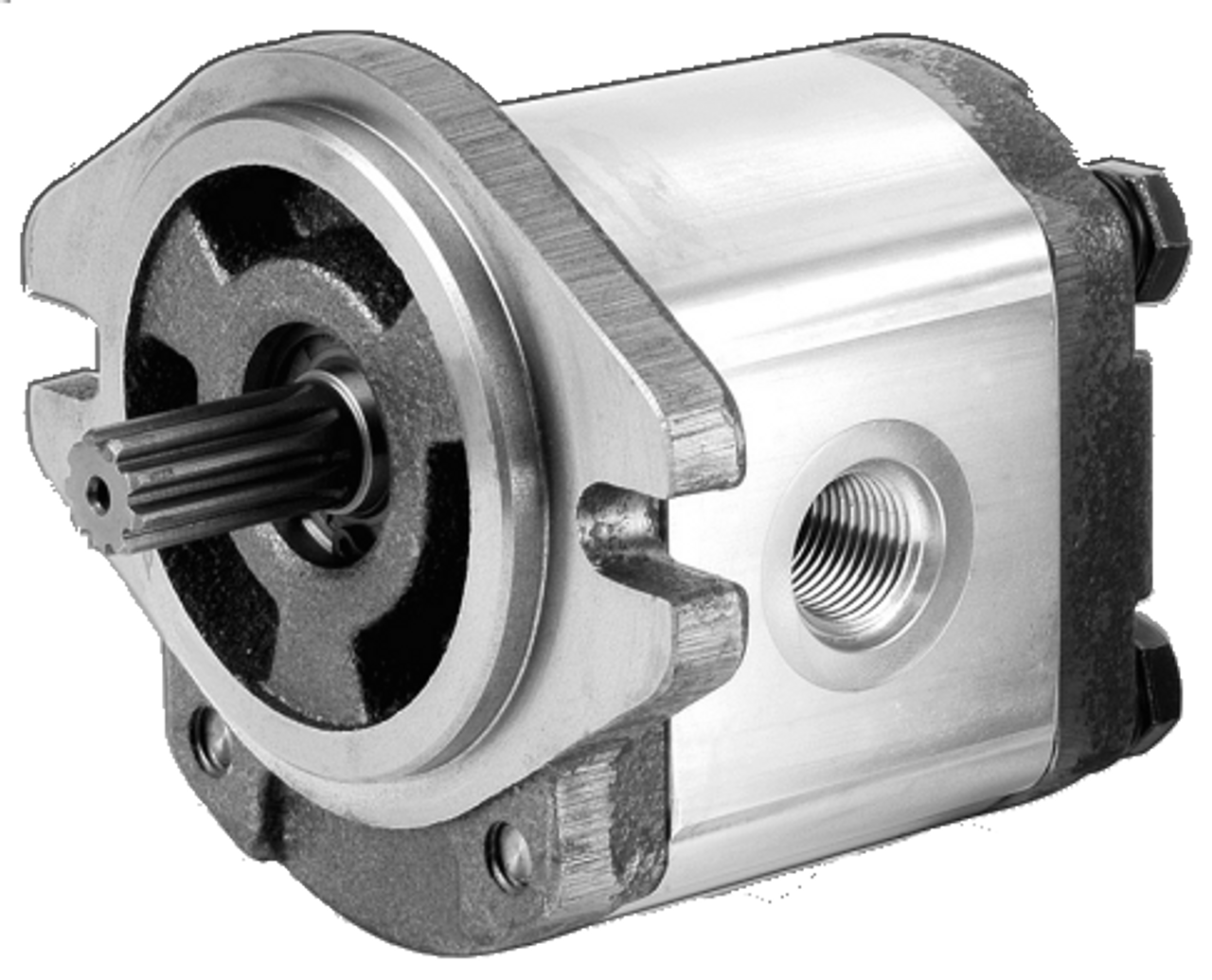 Gear Pump brand