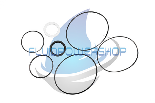 NEW REPLACEMENT FOR VICKERS 50V SEAL KIT / 922853 