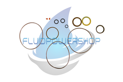 NEW REPLACEMENT CHAR-LYNN 9900100-000 VITON SEAL KIT