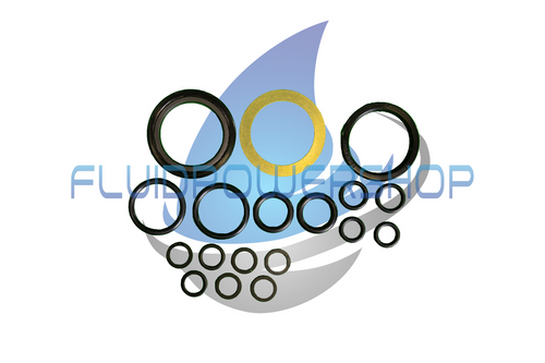 NEW REPLACEMENT FOR CHAR-LYNN 101 (H) SERIES SEAL KIT / 60540-000