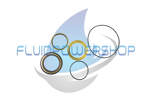 NEW REPLACEMENT CHAR-LYNN 61104-000 SEAL KIT