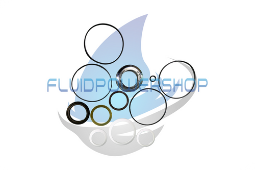 NEW REPLACEMENT CHAR-LYNN 2000 SERIES SEAL KIT / 61289-000