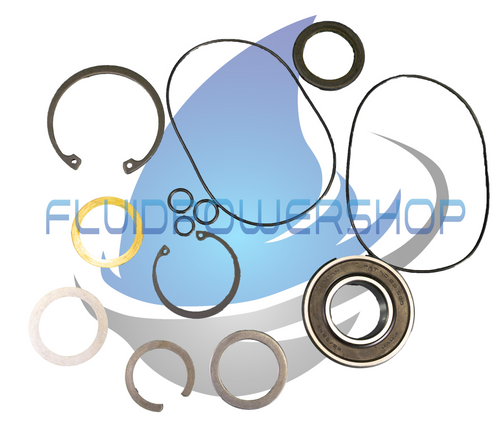 NEW CHARLYNN 162 SERIES BUNA SEAL KIT / 60569-000