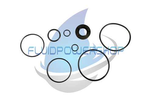 NEW REPLACEMENT FOR VICKERS V2010 BUNA SEAL KIT / 923577 