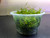 Java Moss