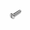 Mercedes-Benz 190 SL W121 Tail Light Lens Chromed Head Screw - 0009901731