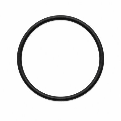 Mercedes-Benz SL R230 Vacuum Pump Gasket / O-Ring - 0219973645