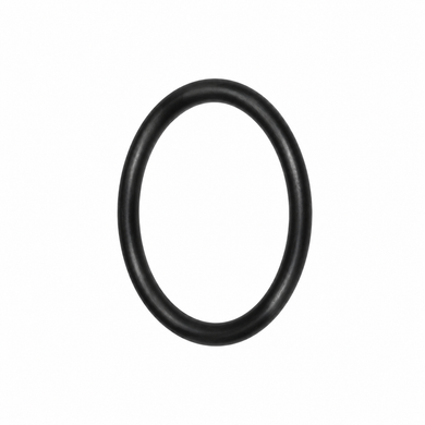 Mercedes-Benz 190 SL W121 Brake Booster O-Ring - 0009976945