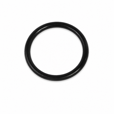 Mercedes-Benz 190 SL W121 Brake Booster Seal Ring - 0009974746