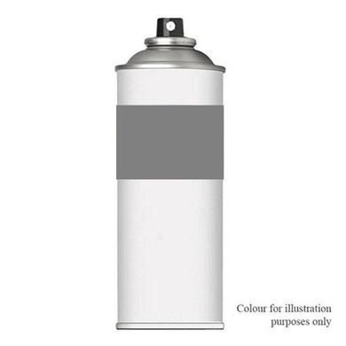 Aerosol Paint - Ascot Grey (751)