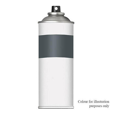 Aerosol Paint - Graphite Grey 190