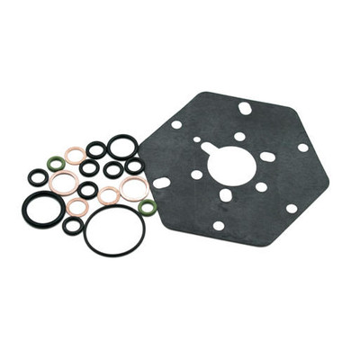 1981 to 1985 380SL R107 Fuel Delivery Overhaul Kit with Free