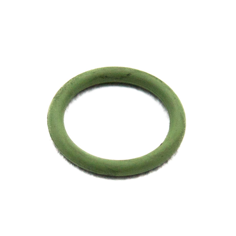 Injector Seal Ring 0169972048