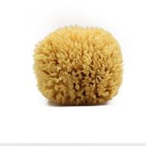 All Natural Luxurious Sea Wool Sponge 5" - 5.5" All Natural Luxurious Sea Wool Sponge 5" - 5.5"