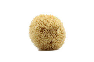 All Natural Luxurious Sea Wool Sponge 4" - 5" All Natural Luxurious Sea Wool Sponge 4" - 5"