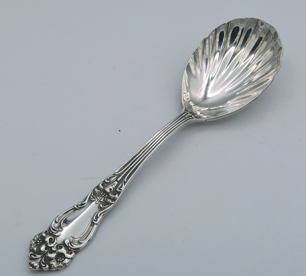 Tiger Lily / Festivity By Reed & Barton 1901 Sugar Spoon 6