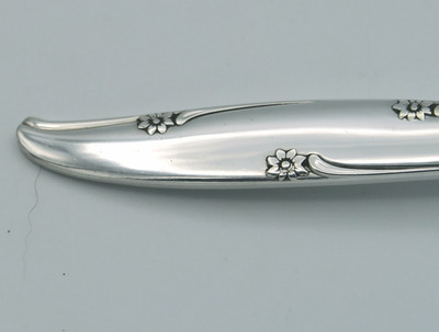 Silver Flower 1960 Community Oneida