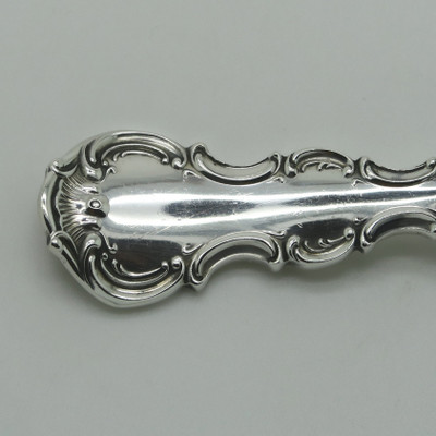 Strasbourg by Gorham 1897