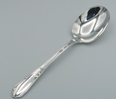 Meadowbrook sugar spoon by Wm A Rogers Oneida