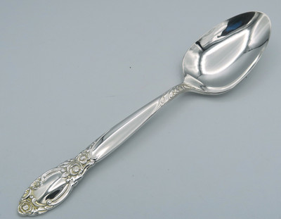 Ballad by Community serving spoon